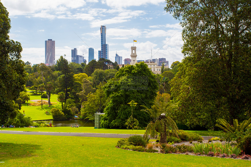 墨尔本皇家植物园在澳大利亚维多利亚州夏图片