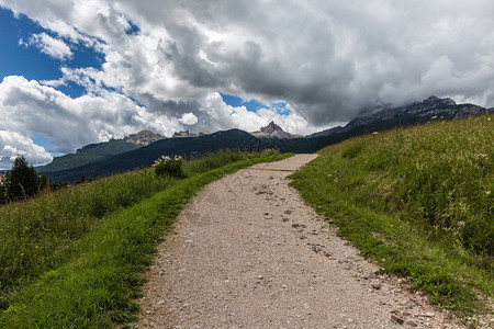 穿越草地背景为意大利阿尔卑斯山脉的山丘Me图片