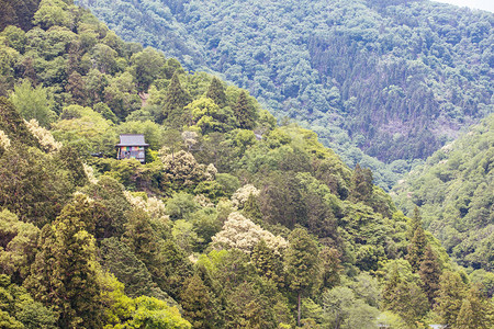 日本京都亚林山区Katsura河下方的ArashiyamaPark观图片