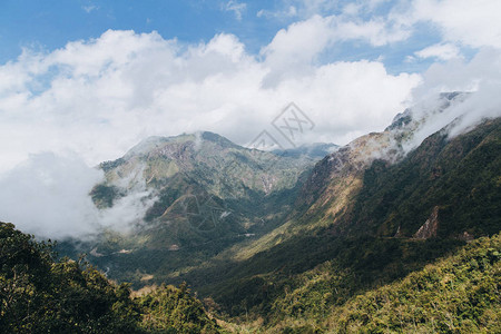 越南SaPa山丘上风景优美的风景青图片