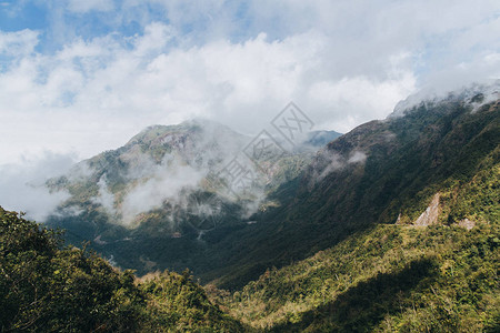 越南沙巴山上青绿植被的美丽风景图片