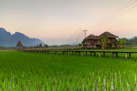 绿稻田和山区老挝VangVi图片