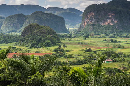 古巴比那莱斯谷地风景全VinalesV高清图片