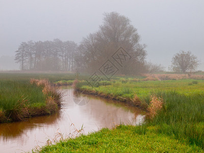 在雾蒙的午后蜿蜒的溪流图片