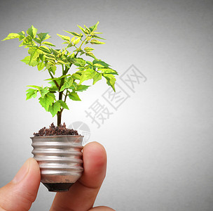 用青绿色植物绿色能源概念背景图片