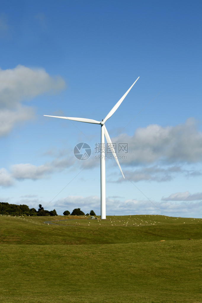 风力涡轮机和放牧羊图片