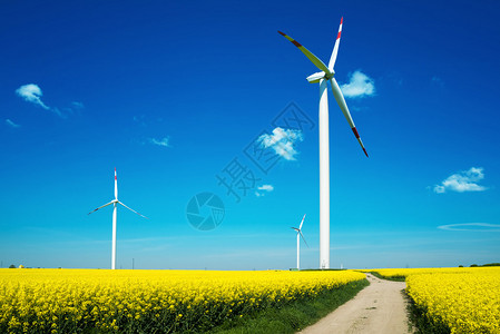 绿色能源概念的图片图片