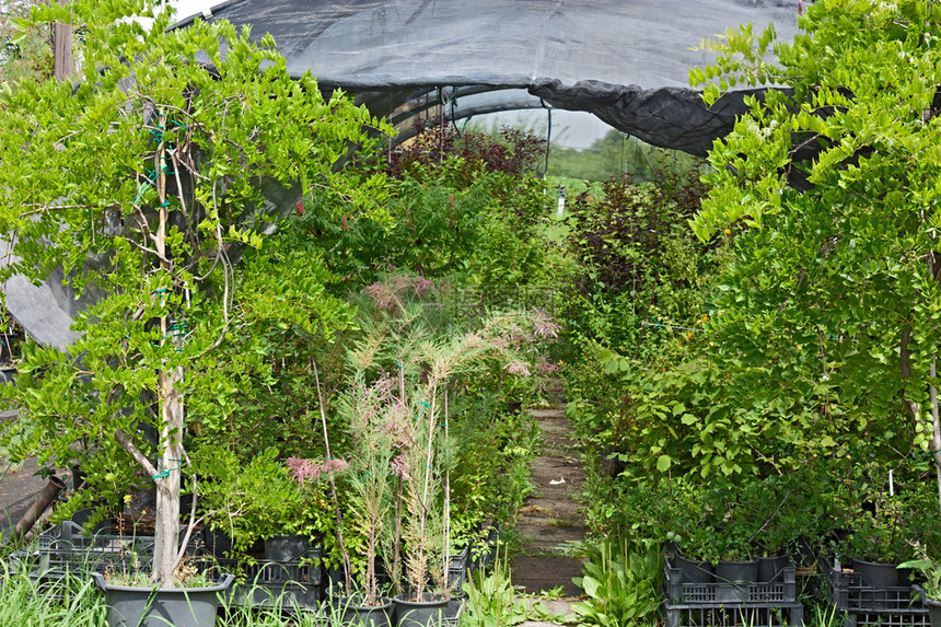 在有遮荫网保护的温室花园内装饰图片