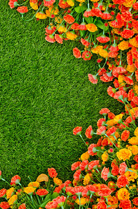 人工草场和花朵TopView图片
