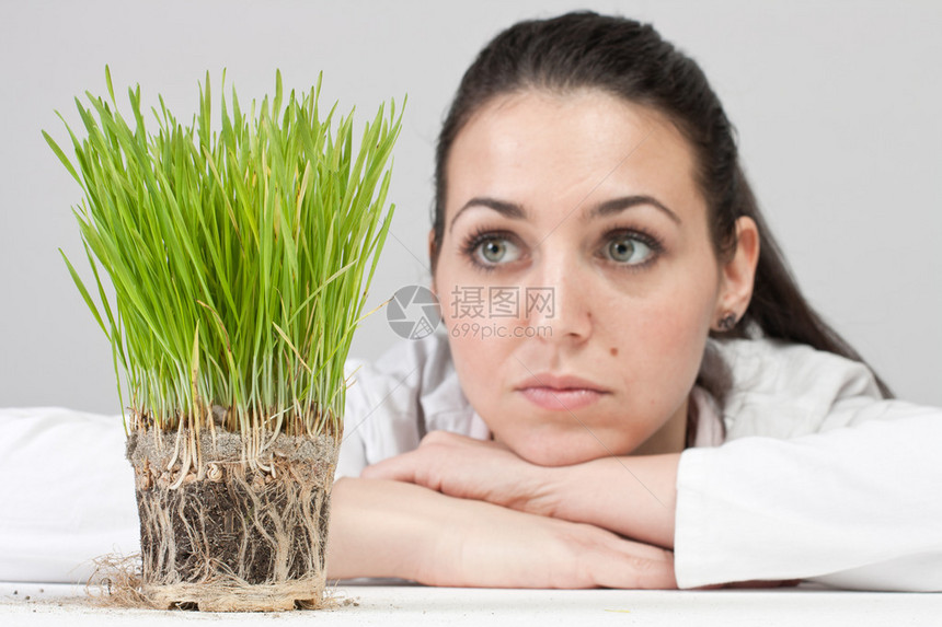 看着植物生长的忧图片