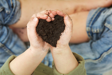儿童手握着心脏形状的土壤图片
