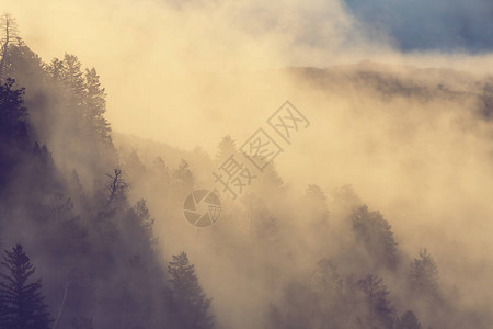 山雾缭绕自然景观图片