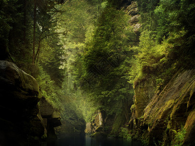在野生森林中穿过岩石的河流图片