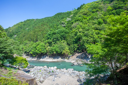 京都亚林山Arashiyama夏图片