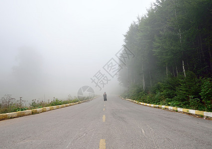 雾中走在路上的女人图片
