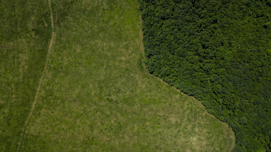 空中无人驾驶观察农田树木和林地图片