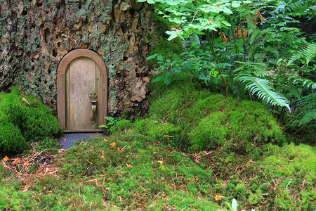 在树干的小木童话门图片