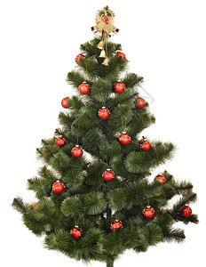 圣诞树孤立魏纳赫茨鲍姆高清图片