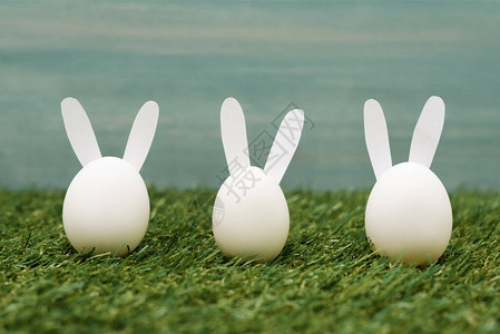 在草地上装饰白色兔背景图片