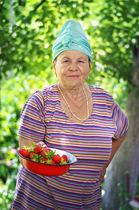 快乐的老太婆在花园里种草莓美丽的老太图片