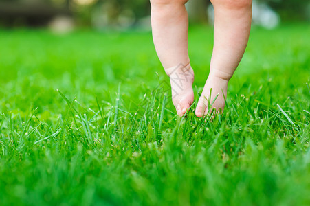 婴儿的脚触摸着草地孩子的图片
