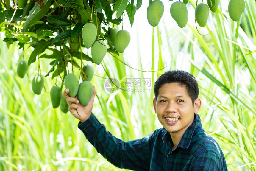 亚洲青年农民在有机农图片