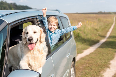 快乐的小孩在田野里带着他的金毛狗骑车背景图片