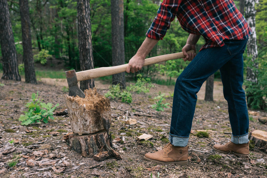 长方格衬衫和牛仔裤中伐木的材皮林图片