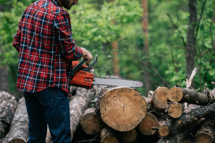 林中带链锯的伐木工人切割后备图片