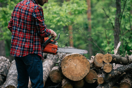 林中带链锯的伐木工人切割后备图片