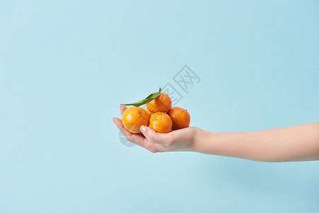妇女手握有机橘子的作物观察图片