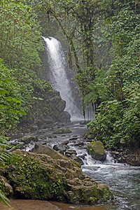 哥斯达黎加拉巴斯瀑布花园FoggyTe背景图片