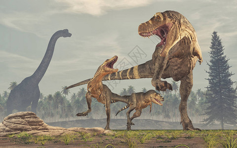 恐龙家族暴龙雷克斯这背景图片
