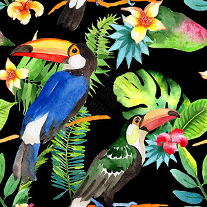 水彩风格的野生动物中的天空鸟巨嘴鸟图案图片
