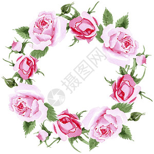 水彩风格的野花茶玫瑰花环图片