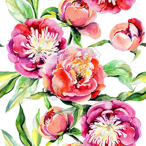 水彩风格的野花牡丹花卉图案图片