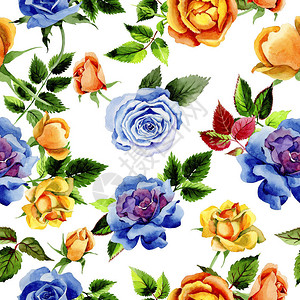 水彩风格的野花玫瑰花朵图案图片