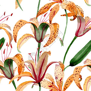 橙色百合花植物花水彩背景插图集水彩画时尚水彩画无缝背景图案织物图片