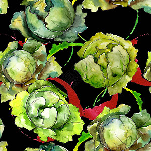 水彩风格图案的绿色卷心菜蔬图片