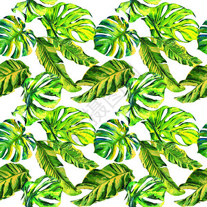 热带夏威夷将棕榈树图案与水彩色风格隔开图片