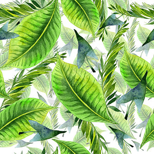 热带夏威夷以水彩风格留下棕榈树图案背景纹理包装图案框架或边框图片