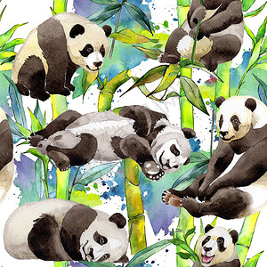 水彩风格的热带竹树和熊猫图案背景质地包装图案框架或边框的水彩画图片