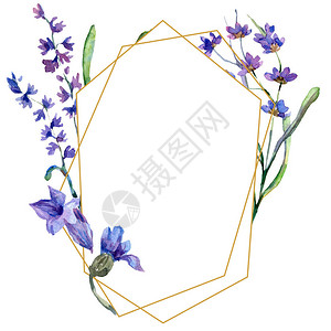紫色熏衣草花水彩背景插图框架边框装饰品金晶体石的多面背景图片