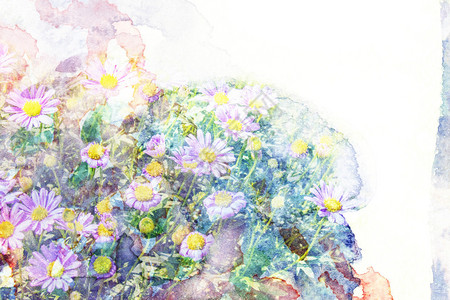 花的抽象水彩插图纸上水彩画花卉水彩插图图片