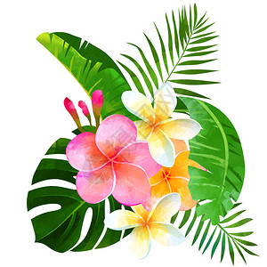 热带花束上面有怪兽叶香蕉叶棕榈叶背景图片