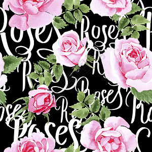 水彩风格的野花茶玫瑰花图案图片
