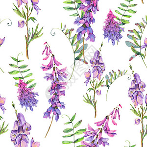 紫绿野花的无缝模式图片