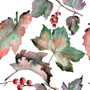 叶醋栗叶植物图案植物园花卉叶子背景质地包装图案框架或边图片