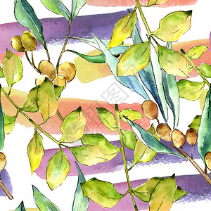 水彩毛竹绿叶植物园花卉叶子无缝背景图案织物壁纸打印纹理背景纹理包装图插画