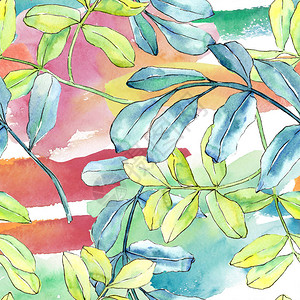 Watercolo绿相思叶植物园花卉叶子无缝背景图案织物壁纸打印纹理背景纹理包装图背景图片